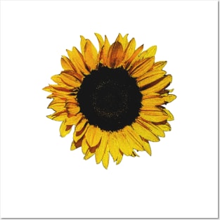 Sunflower Posters and Art